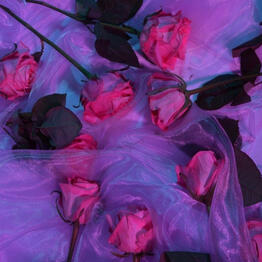 ❝ *Shine so bright it burns their fucking eyes. * ❞